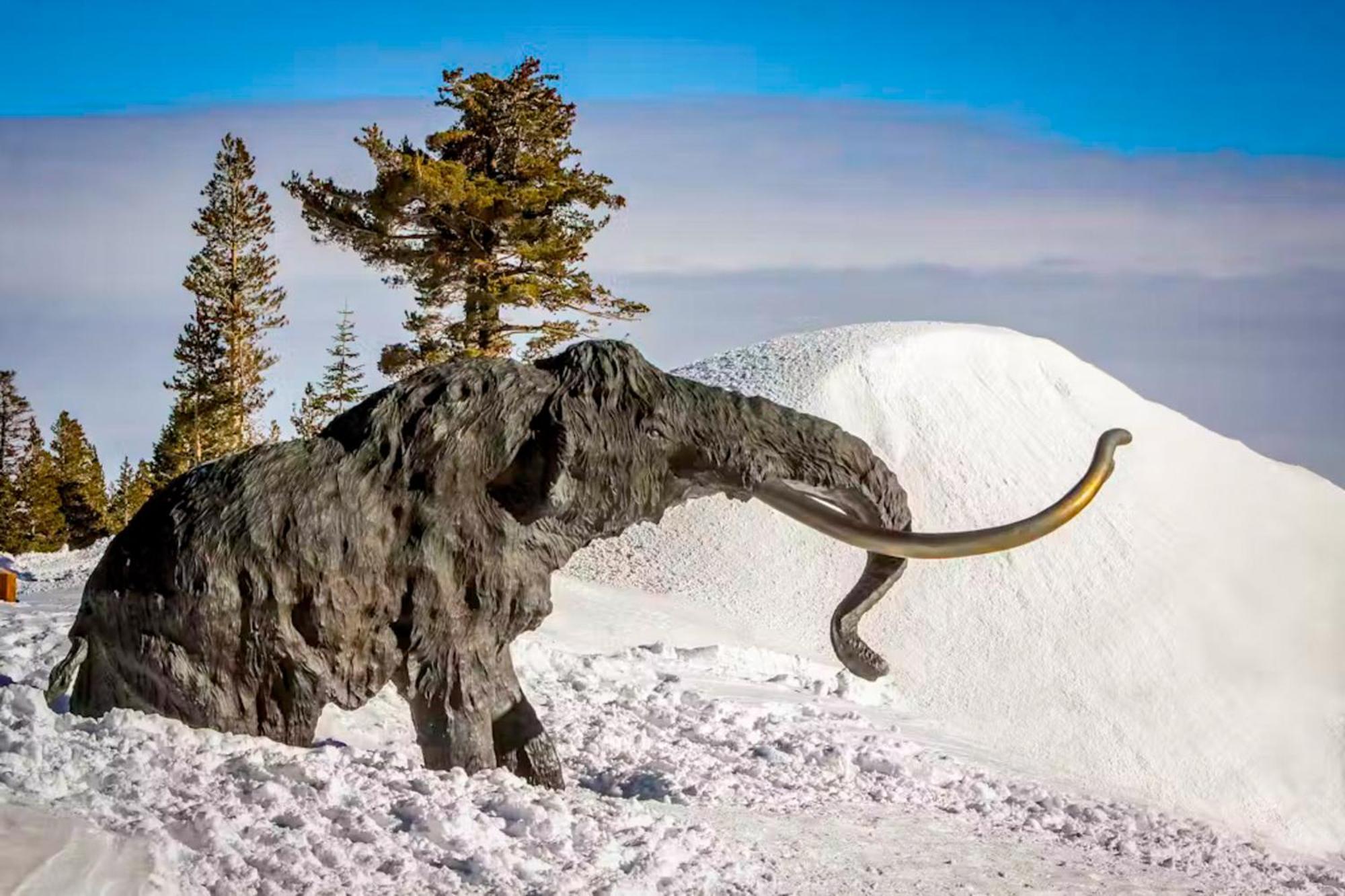 Eagle Run 107 Leilighet Mammoth Lakes Eksteriør bilde